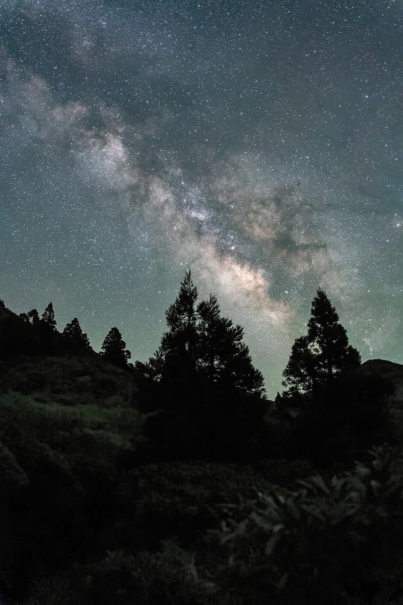 Interactive experiences under the stars