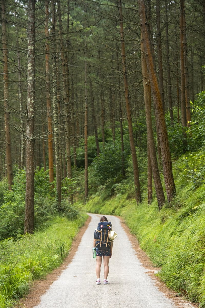 Traveler